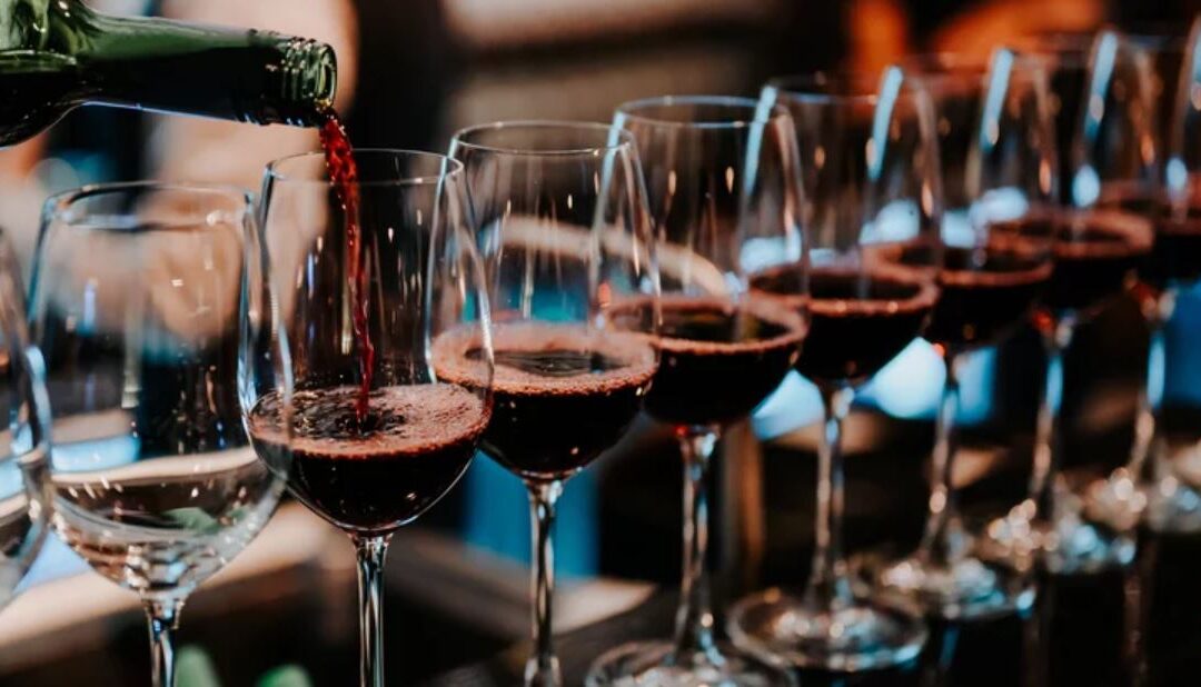 7 Best Red Wines for Beginners to Start Their Wine Journey