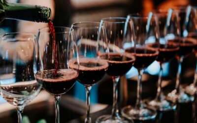 7 Best Red Wines for Beginners to Start Their Wine Journey