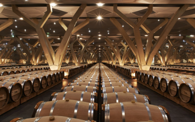 The 8 Most Famous Red Wine Regions in the World