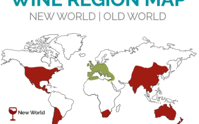 Old World vs New World Wines