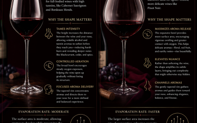 Does The Shape of Wine Glass Matter?